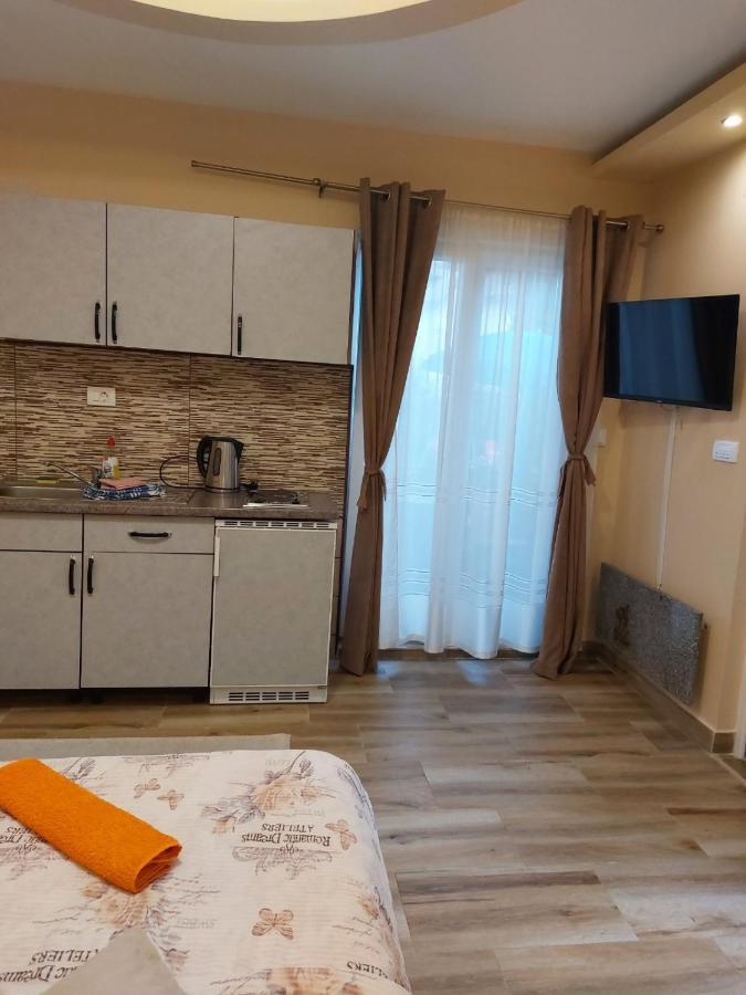 Apartmani Knezevic Zlatibor Buitenkant foto