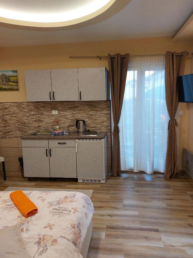 Apartmani Knezevic Zlatibor Buitenkant foto