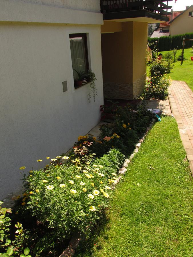 Apartmani Knezevic Zlatibor Buitenkant foto