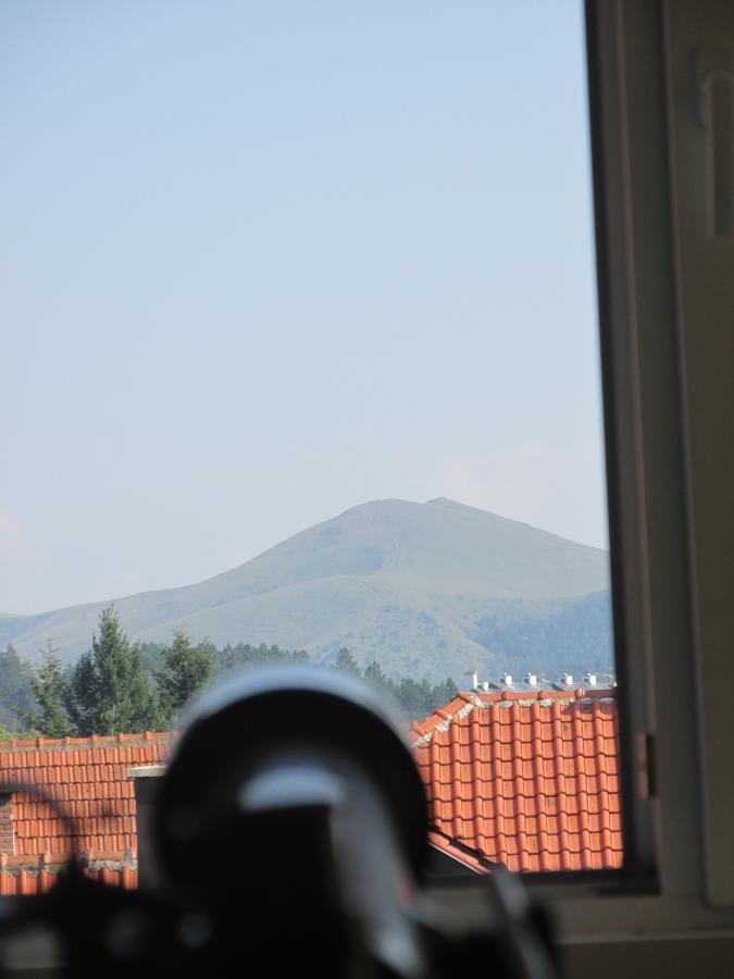 Apartmani Knezevic Zlatibor Buitenkant foto